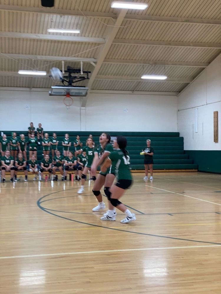 athlete hitting volleyball