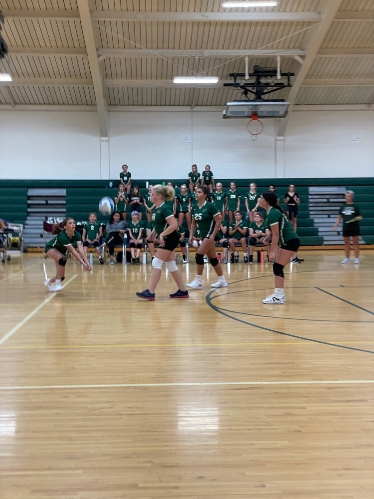 athlete hitting volleyball
